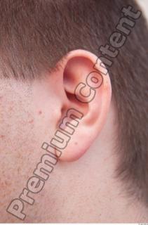 Ear texture of street references 417 0001